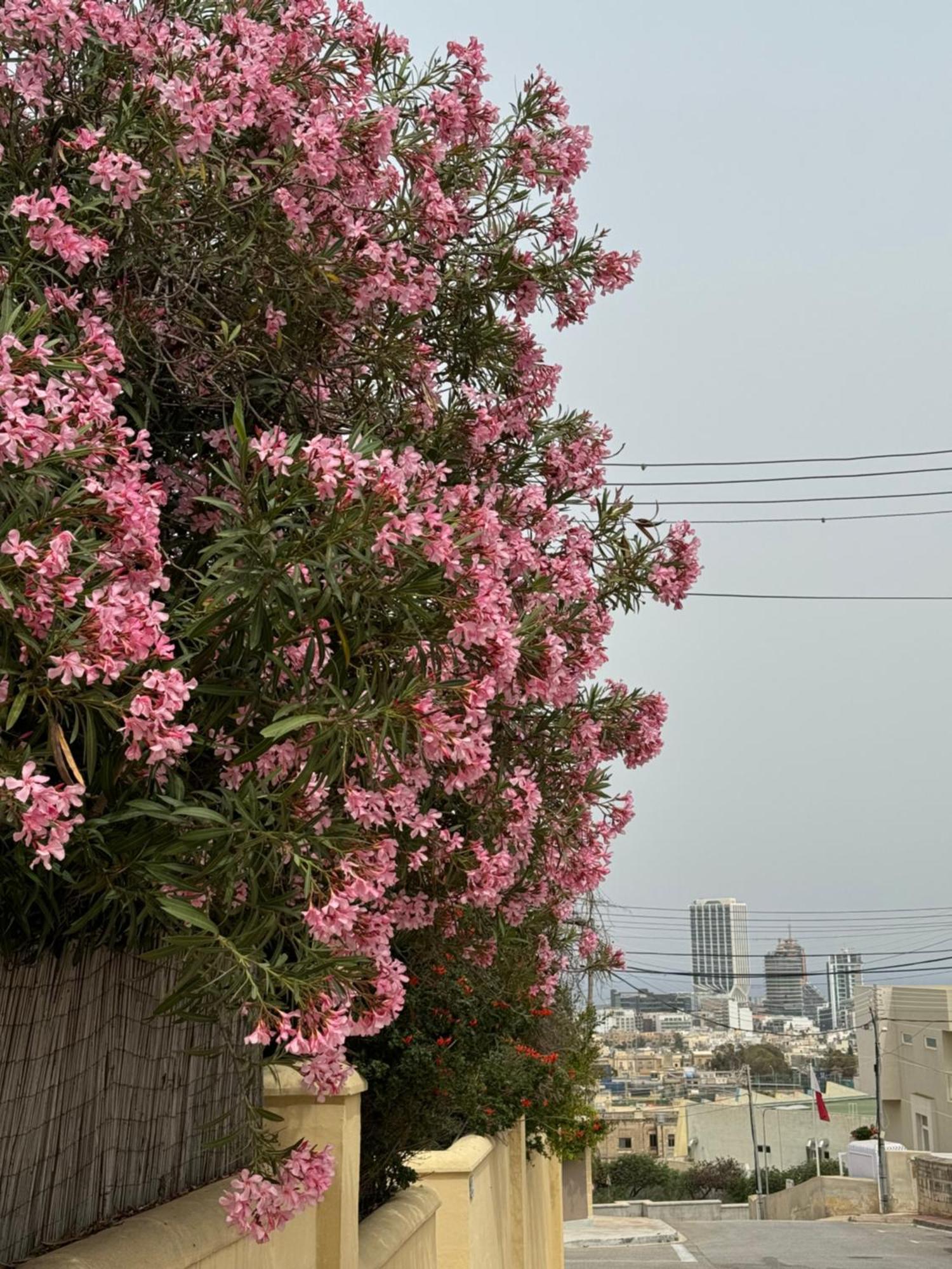 Villa Xiwan Is-Swieqi Exterior foto